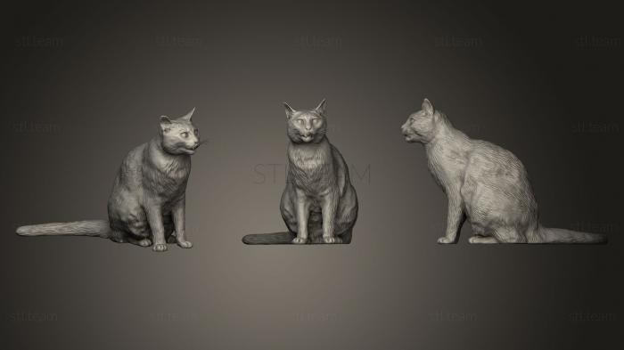 3D model Red cat 21 (STL)